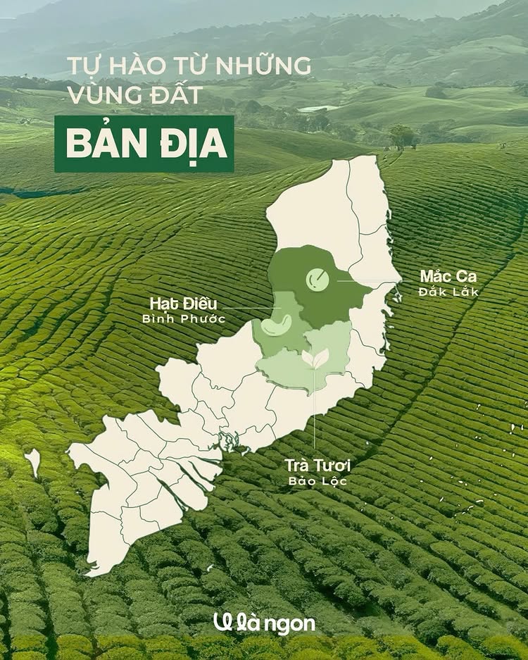 Gốc bản địa
